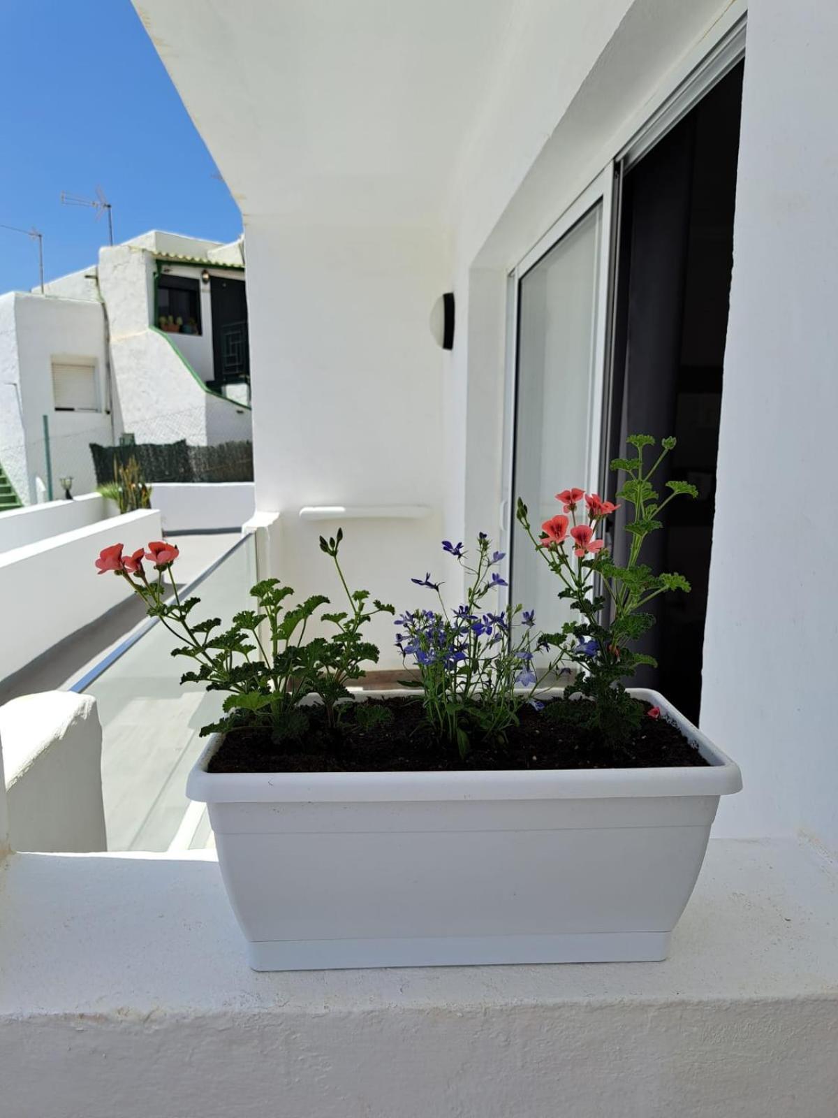 Casa Esterlita タラハレホ エクステリア 写真